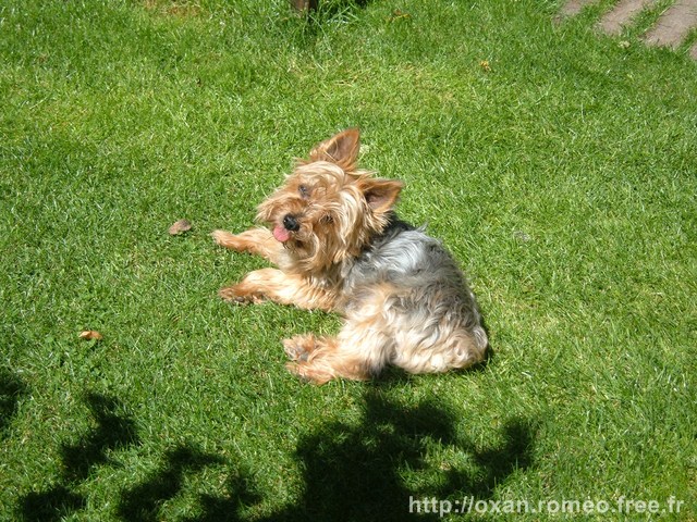 Romeo-038
