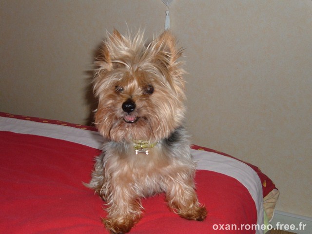 Romeo-062