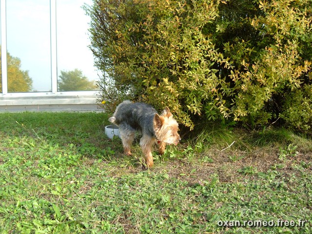 Romeo-070