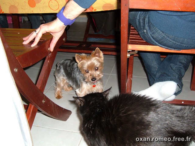 Romeo-081