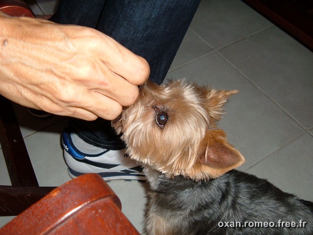 Romeo-086