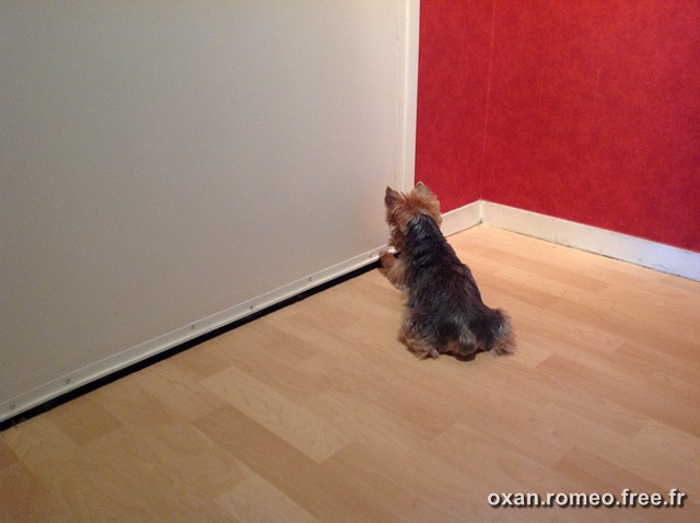Romeo-087