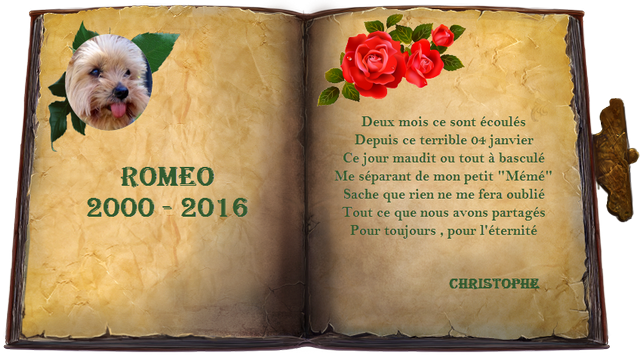 hommage-romeo-040316