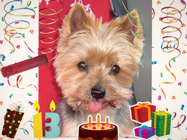 romeo-13-ans
