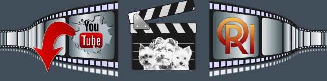 video-ORI